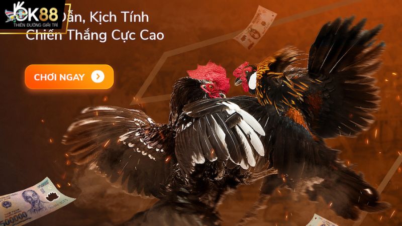 Tìm hiểu về các hình thức đá gà tại sảnh WS168