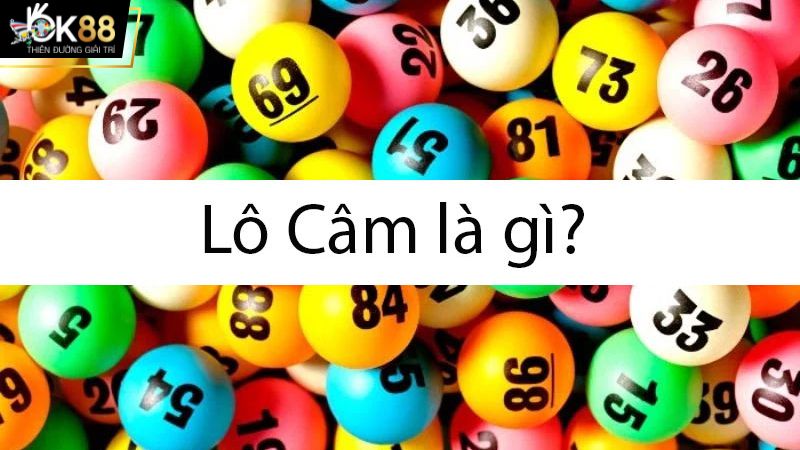 Tìm hiểu khái niệm lô câm là gì?