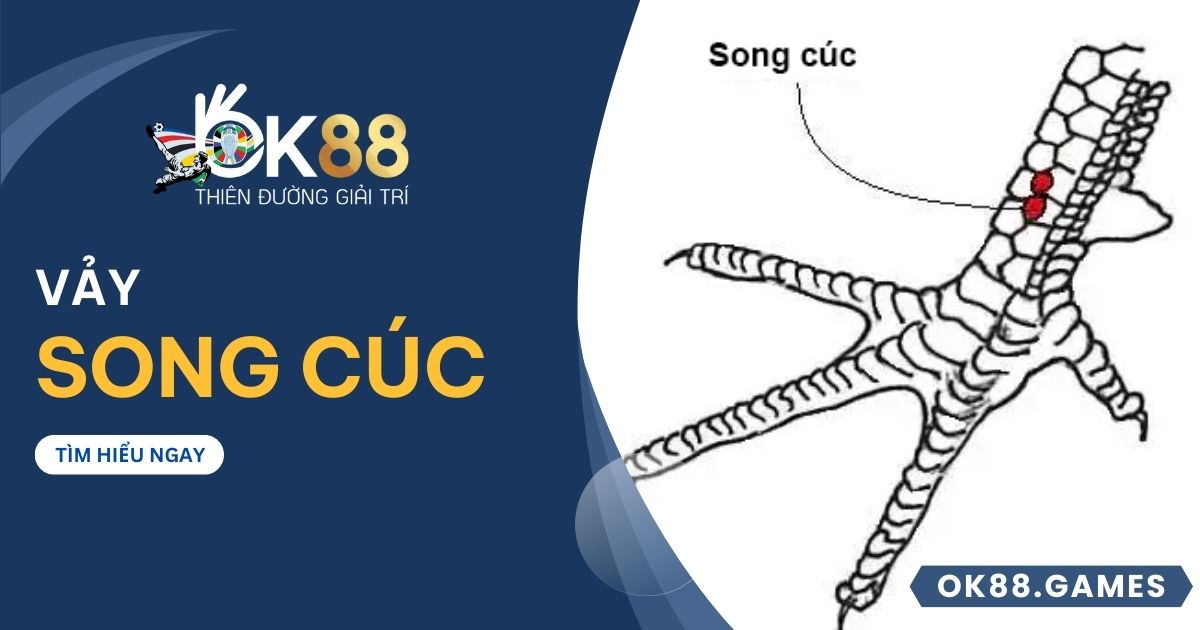 Vảy song cúc